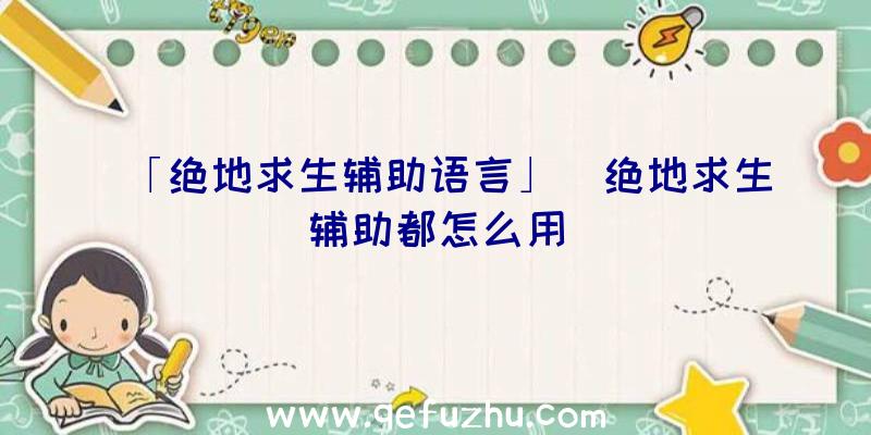 「绝地求生辅助语言」|绝地求生辅助都怎么用